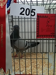 Frome22712