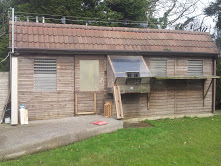 Alans Youn Bird Loft.jpg