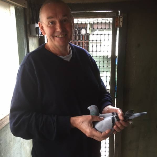 C:\Users\alan\Documents\Alan Pigeons\2016 reports\Amal Reports\Completed reports\Portland Paul Coombes\IMG_2662.JPG