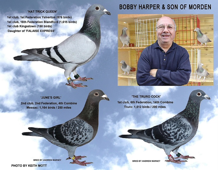 bobby harper montage