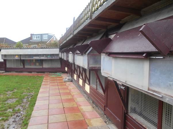 C:\Users\alan\Documents\Alan Pigeons\2016 reports\Steve Williams\Photos\DSCN0827.JPG