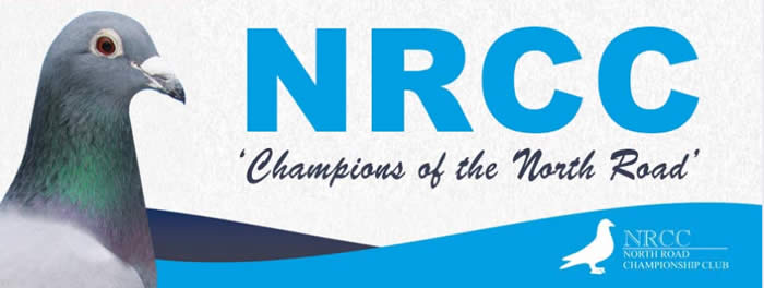 Nrcc Thurso 20-08-19