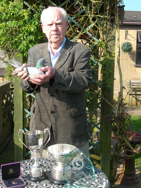 Tommy Shawalegend
