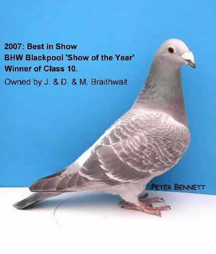 Blackpool 2007 Show Photos