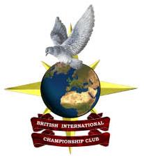 BICC Barcelona International Report July 2014