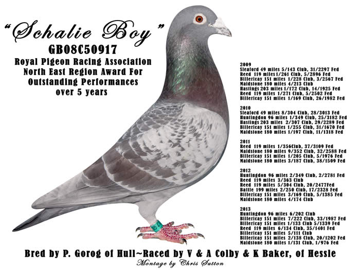 Colby & Baker's  RPRA Award Winner 2013