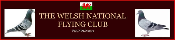 W N F C Maidstone