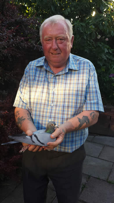 John Ludlam's Barcelona Hen