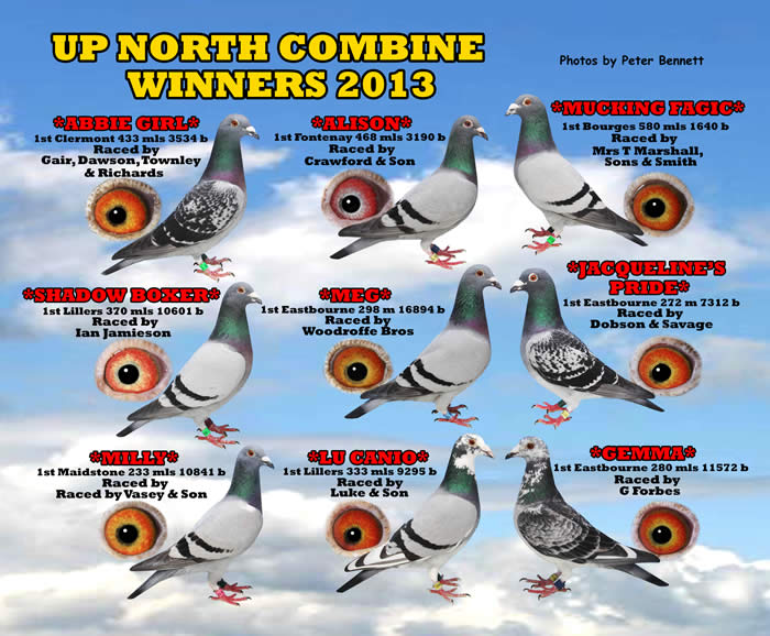 Up North Combine 2013 Montage