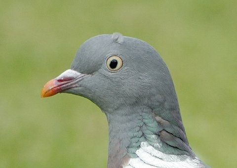 D M13 June 2012