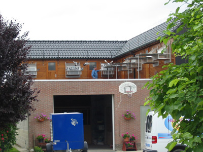 Michael Vanlint of Zouttleeuw