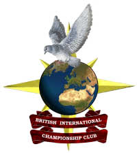 BICC Merit Award Winners 2014