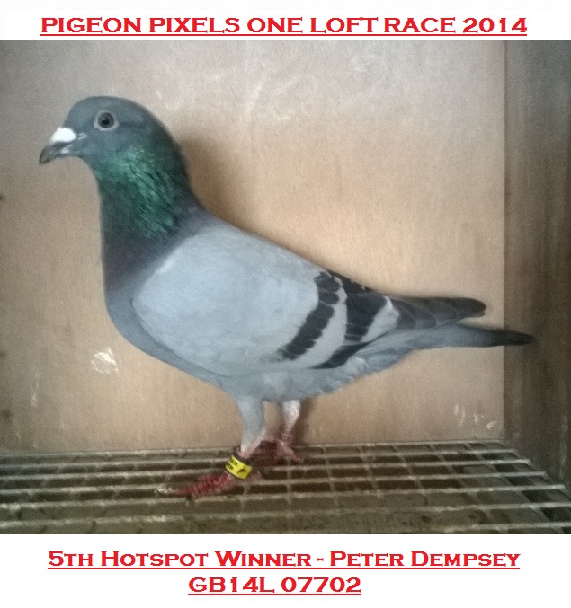 Pigeon Pixels One Loft Race 2014  5th Hotspot