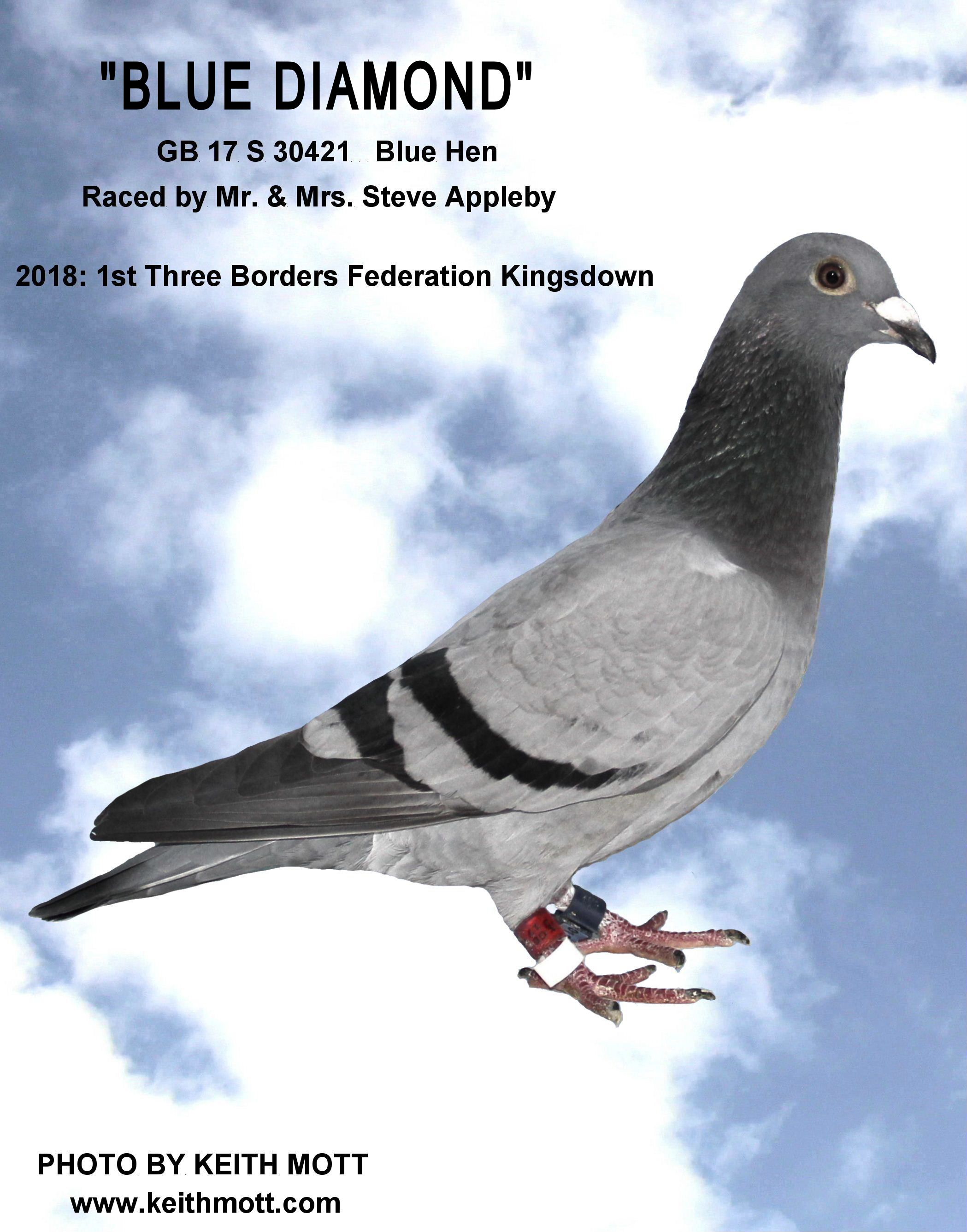 APPLEBY 4BB