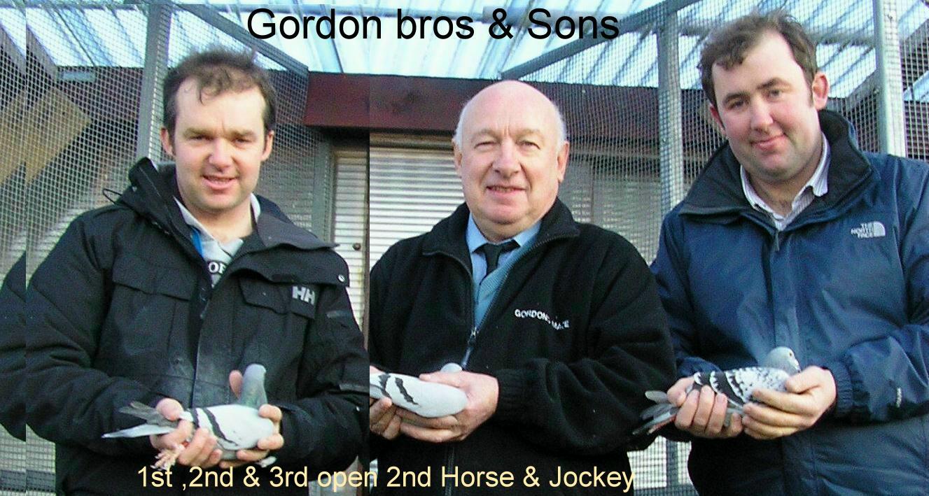 gordons