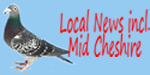 Smaller logo 3