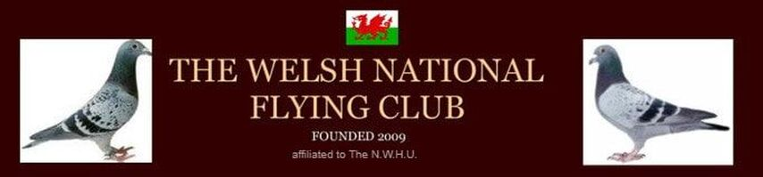 Welsh National -  Maidstone 2