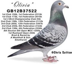 OliviaGB12B37522