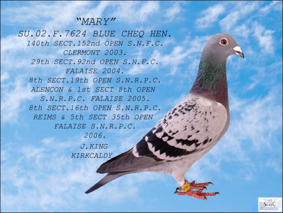 Mary see text