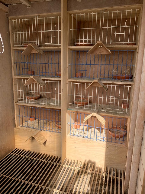 hens section