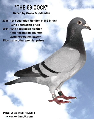 29I