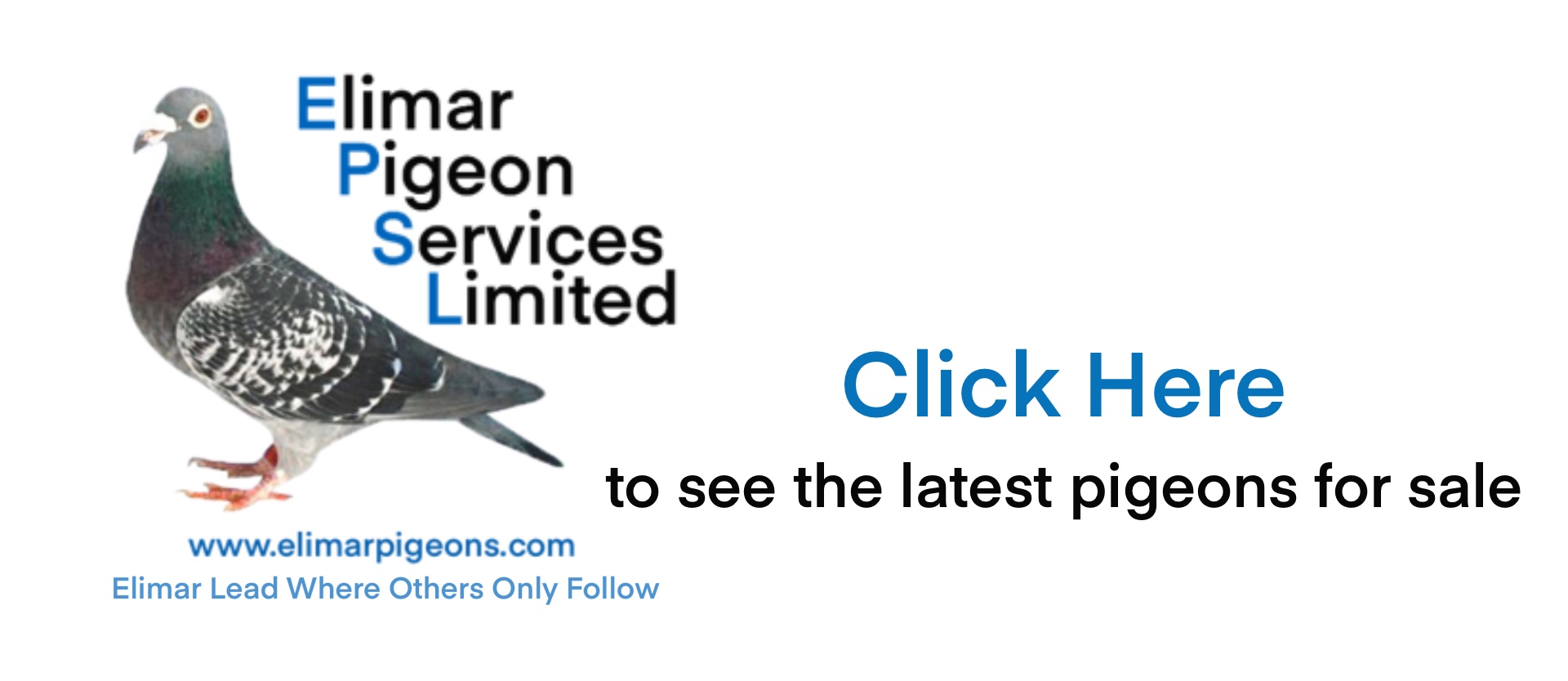 Elimar 2021 Small Website Link Logo