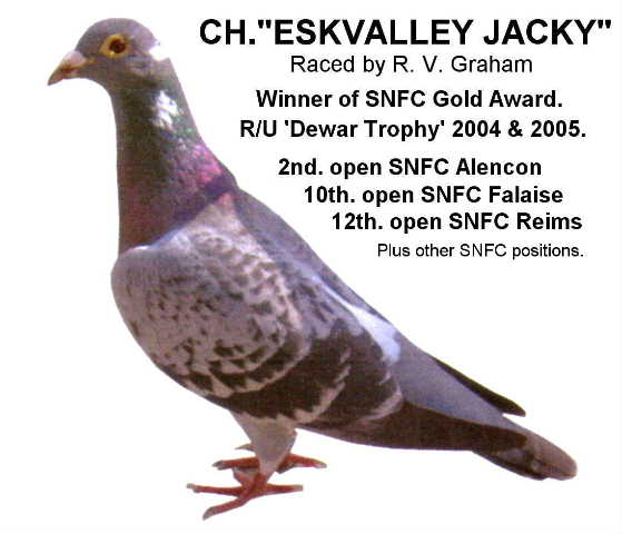 Eskvalley Jacky