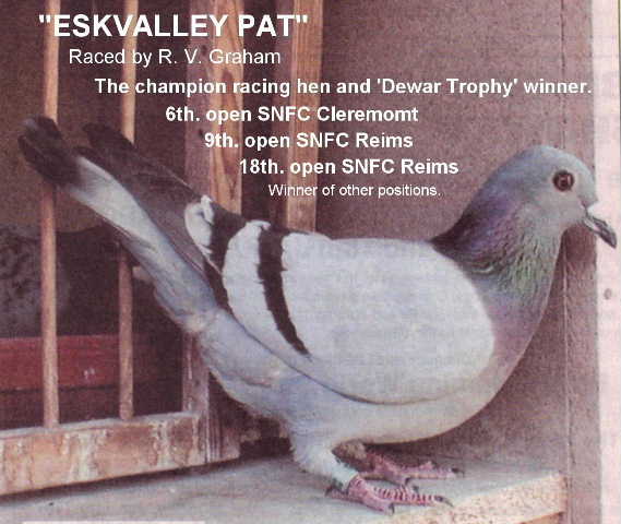 Eskvalley Pat
