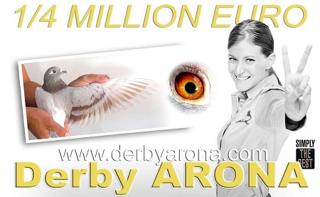 derby 15