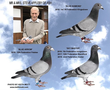 steve all mont