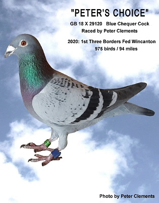29C pete