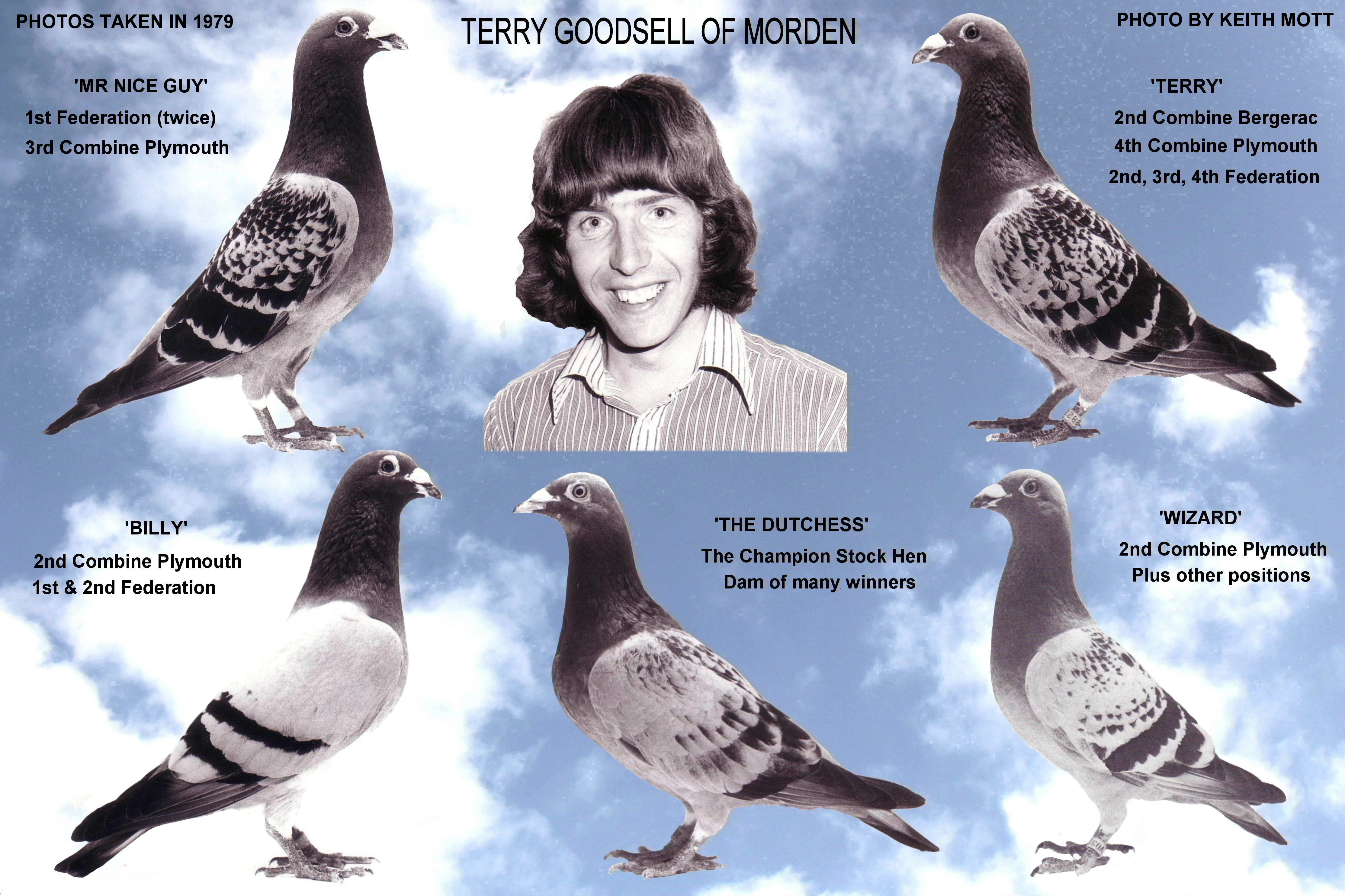 Terry Goodsell 2