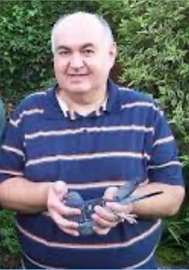 john wheatcroft pigeons
