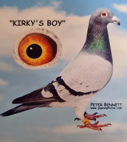 kirkys boy