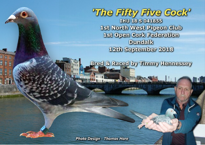 The Fifty Five Cock Tim SNR