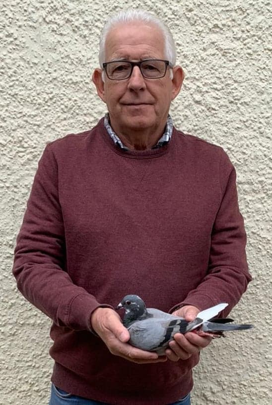eaglefermoy