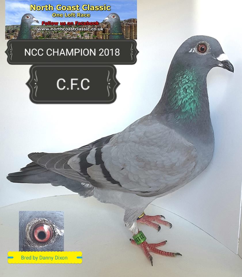 nccwinner18