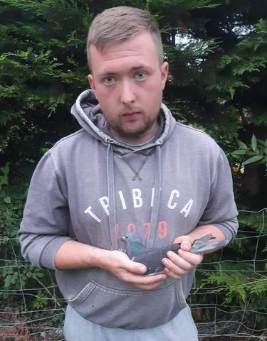 whyte