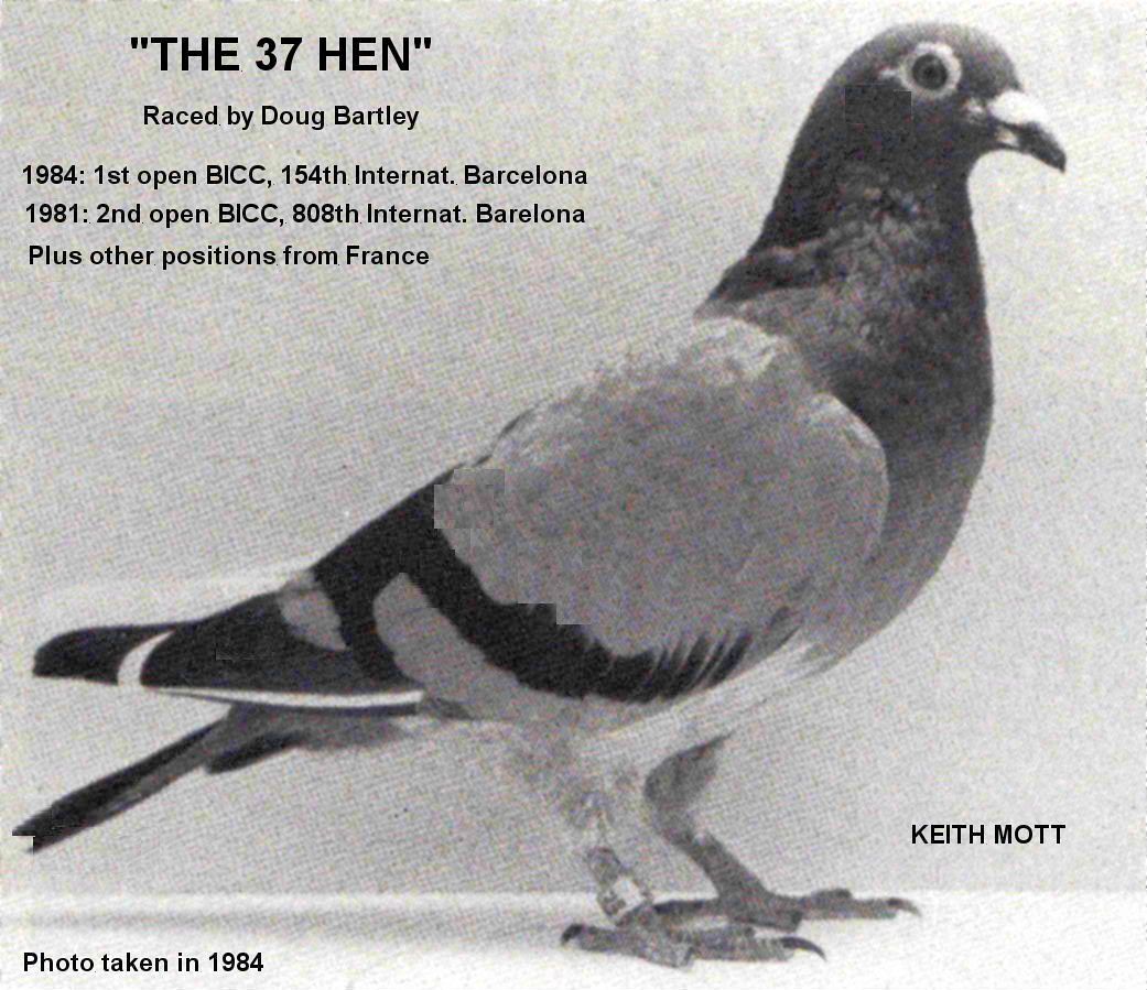 30I 20 11 20