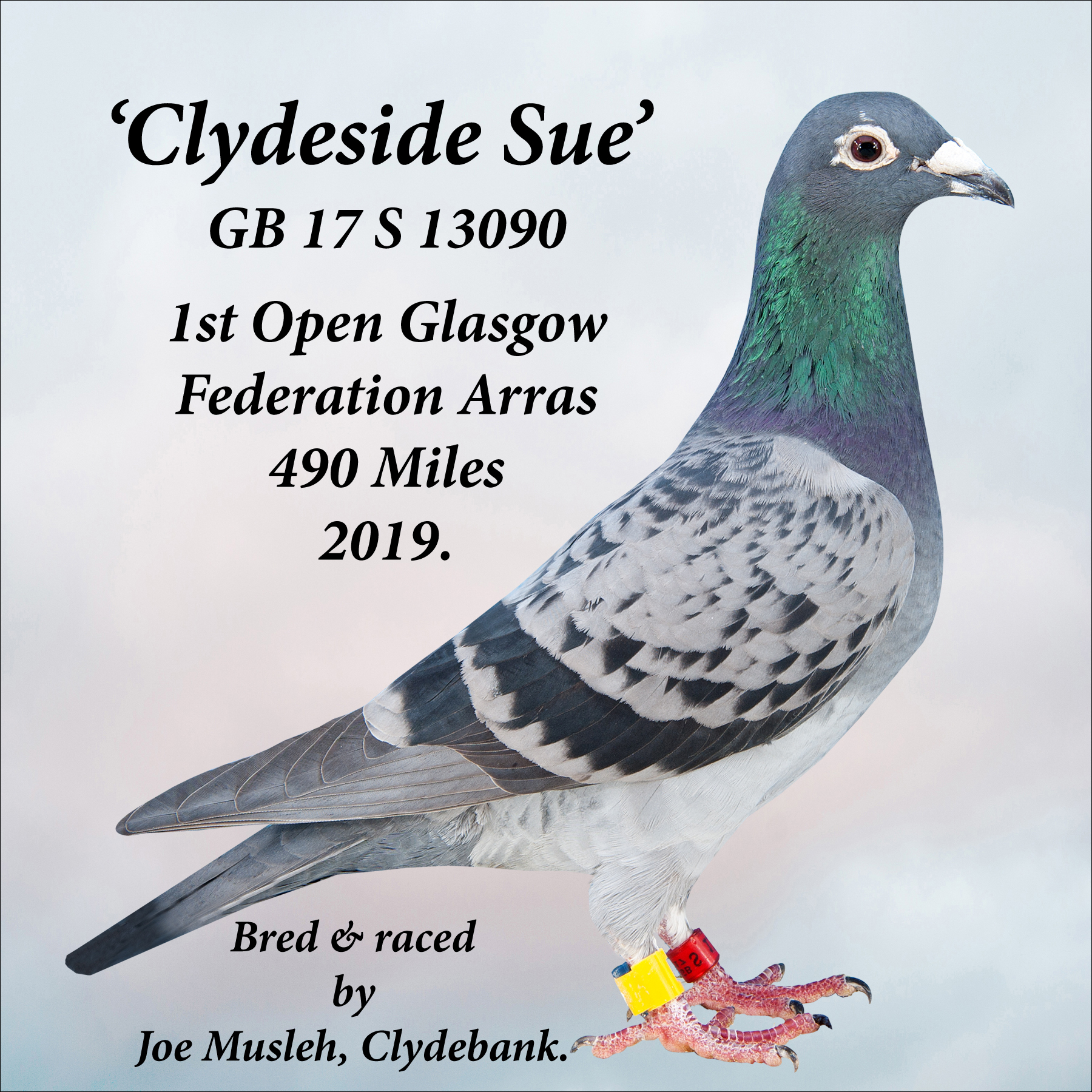 Clydeside Sue see text