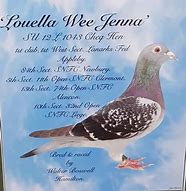 Louella Wee Jenna