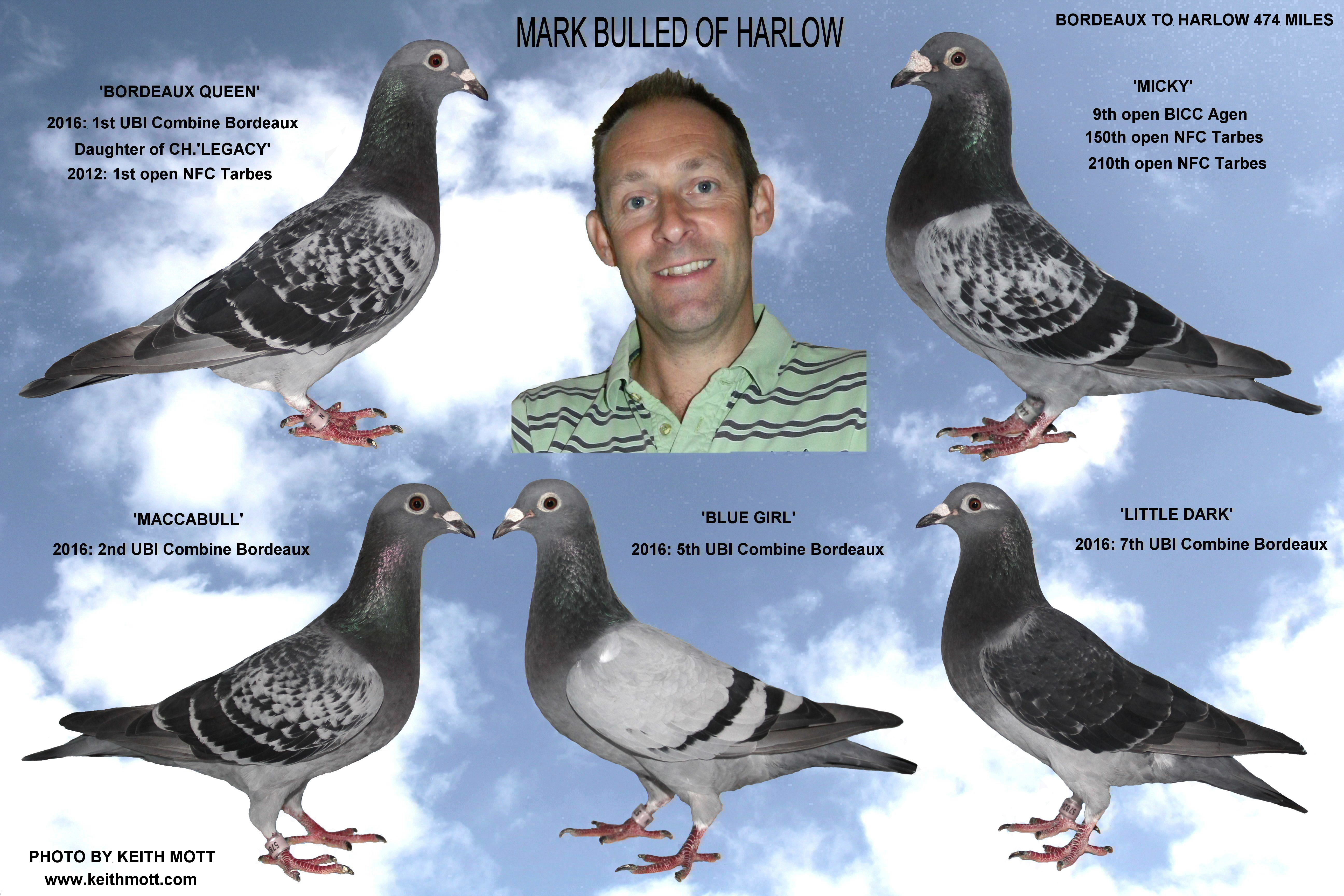 29F 1 10 12 20 A