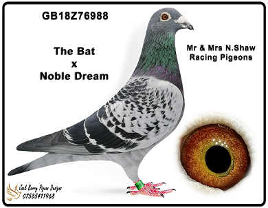 988