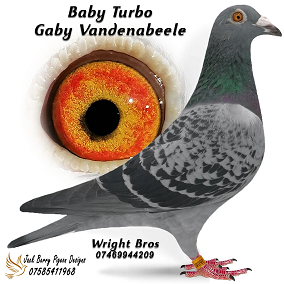Baby Turbo