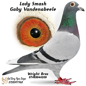 Lady smash