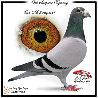 old soupster
