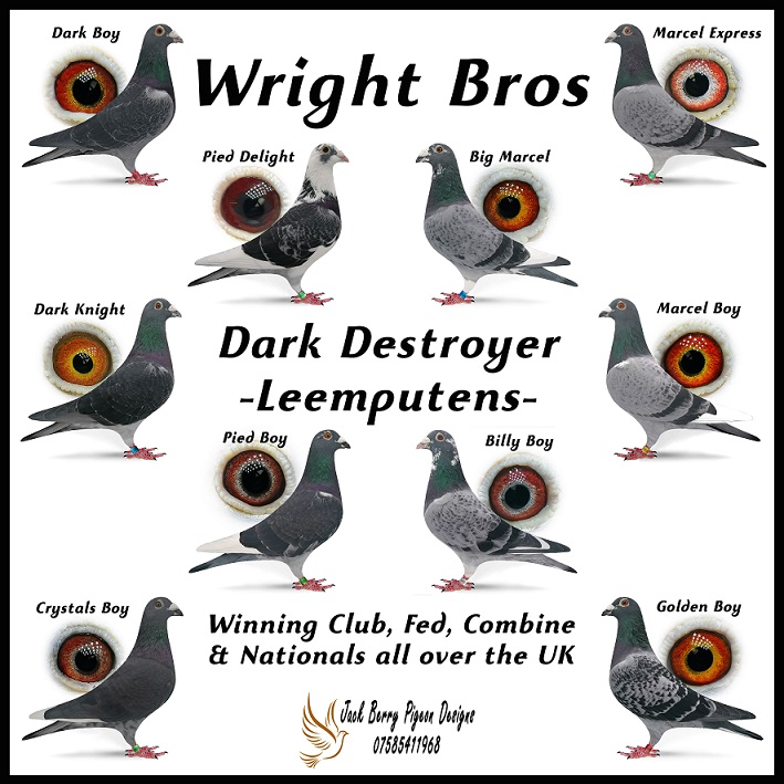 wright bros Loft 4 Dark Destroyers