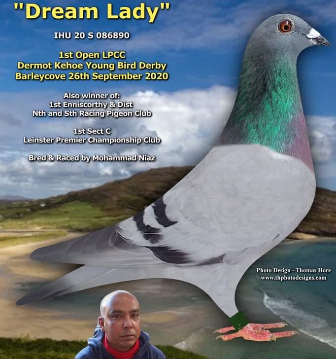 Mohammad Niaz blue hen Dream Lady. 09 03 21