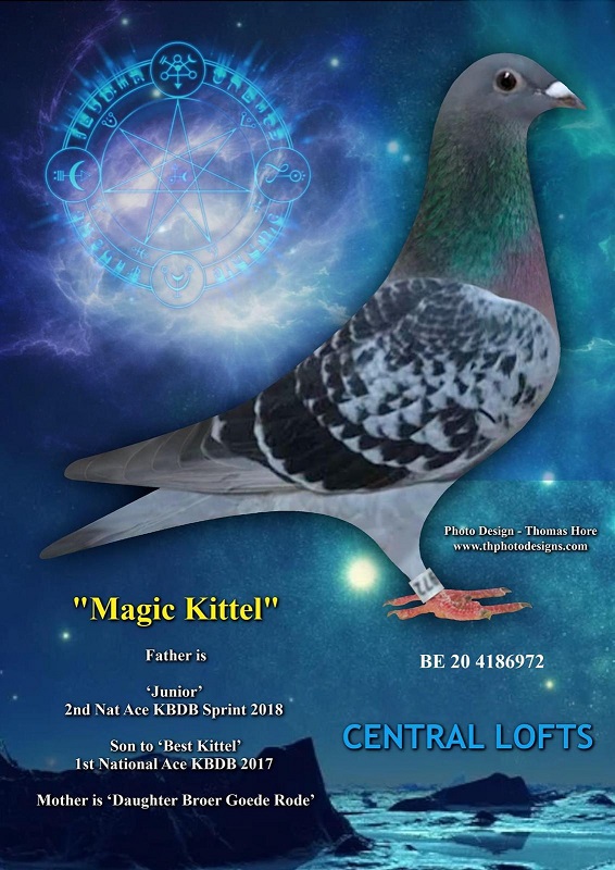 Magic Kittel