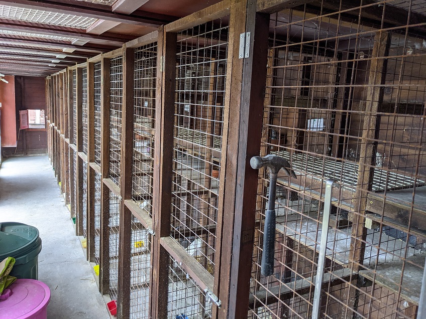 mick mellor breeding pens 12 07 21